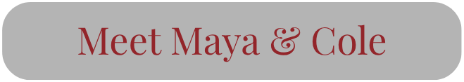 Light gray box with deep red text reading “Meet Maya & Cole.” Click to view Chasing the Truth by Tiffany Marks on Amazon.