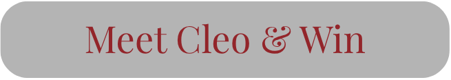 Light gray box with deep red text reading “Meet Cleo & Win.” Click to find Secret in the Shadows by Tiffany Marks on Amazon.